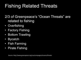 Fishing Related Threats2/3 of Greenpeace’s “Ocean Threats” are related to fishing OverfishingFactory FishingBottom TrawlingBycatchFish FarmingPirate FishingSource: http://www.greenpeace.org/usa/campaigns/oceans/threats