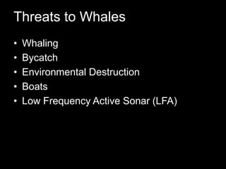 Threats to WhalesWhalingBycatchEnvironmental DestructionBoatsLow Frequency Active Sonar (LFA)