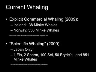 Current WhalingExplicit Commercial Whaling (2009): Iceland:  38 Minke WhalesNorway: 536 Minke Whales	Source: http://www.iwcoffice.org/conservation/table_objection.htm“Scientific Whaling” (2009):Japan Only1 Fin, 2 Sperm, 100 Sei, 50 Bryde’s,  and 851 Minke WhalesSource: http://www.iwcoffice.org/conservation/table_permit.htm