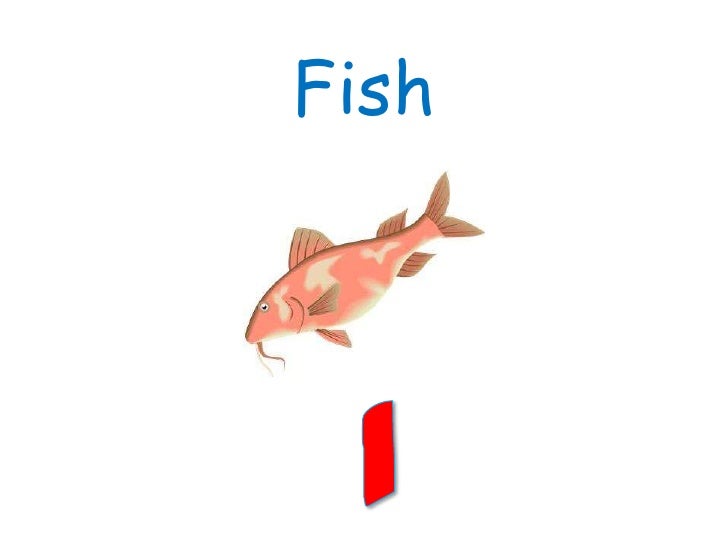 Ocean syllable reveal