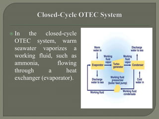  In the closed-cycle
OTEC system, warm
seawater vaporizes a
working fluid, such as
ammonia, flowing
through a heat
exchanger (evaporator).
 