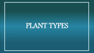PLANT TYPES
 