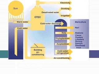 Figure of related activities other than
power generation
 