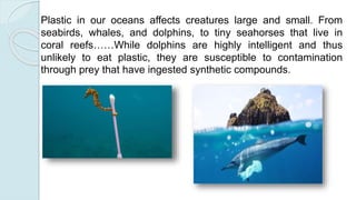 Plastic in our oceans affects creatures large and small. From
seabirds, whales, and dolphins, to tiny seahorses that live in
coral reefs……While dolphins are highly intelligent and thus
unlikely to eat plastic, they are susceptible to contamination
through prey that have ingested synthetic compounds.
 