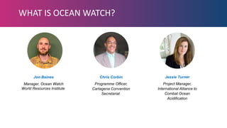 Ocean Watch - Launch Presentation | PPTX