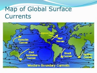 Ocean Water and Currents PPT LESSON | PPTX