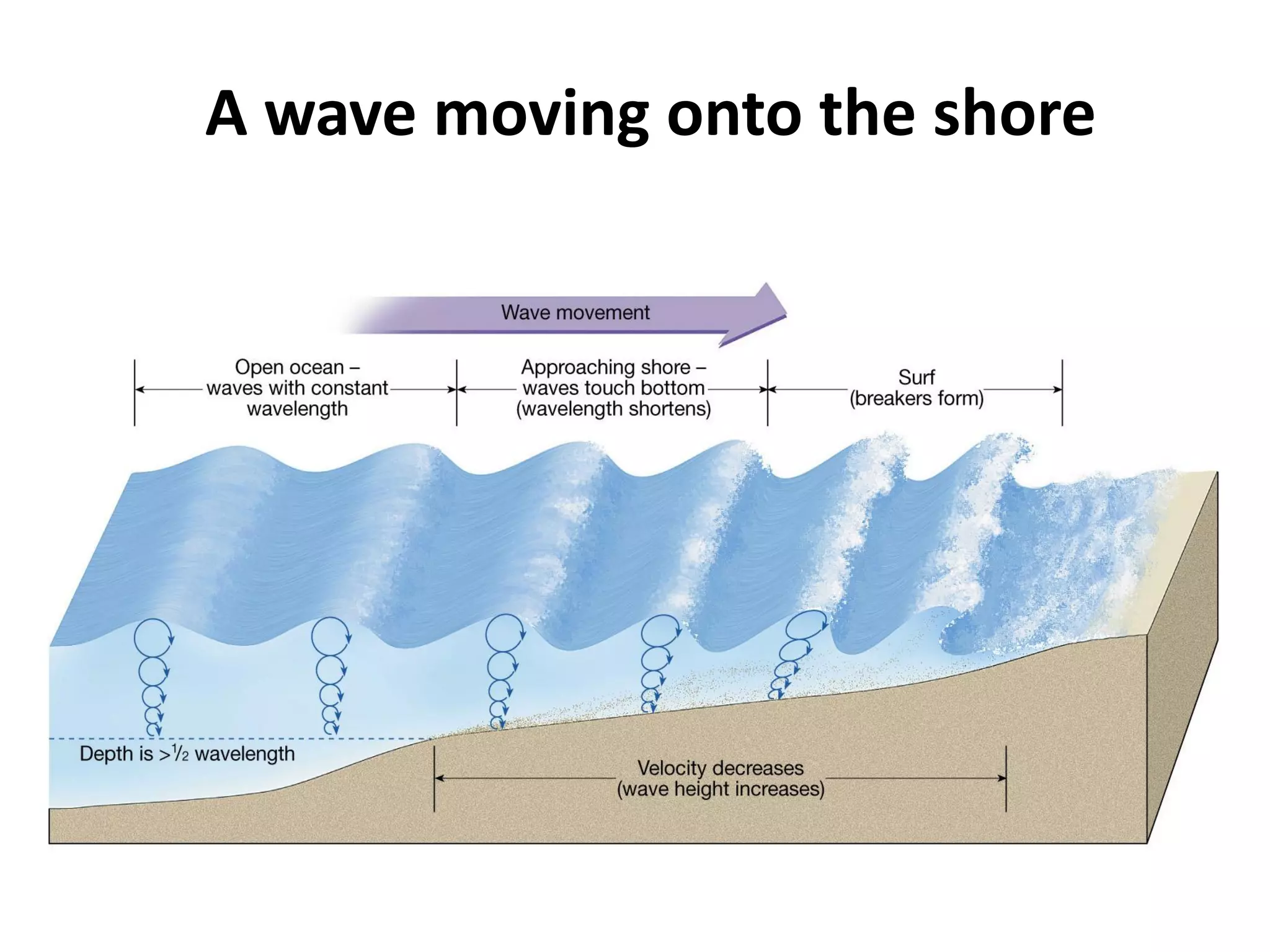 A wave moving onto the shore
 