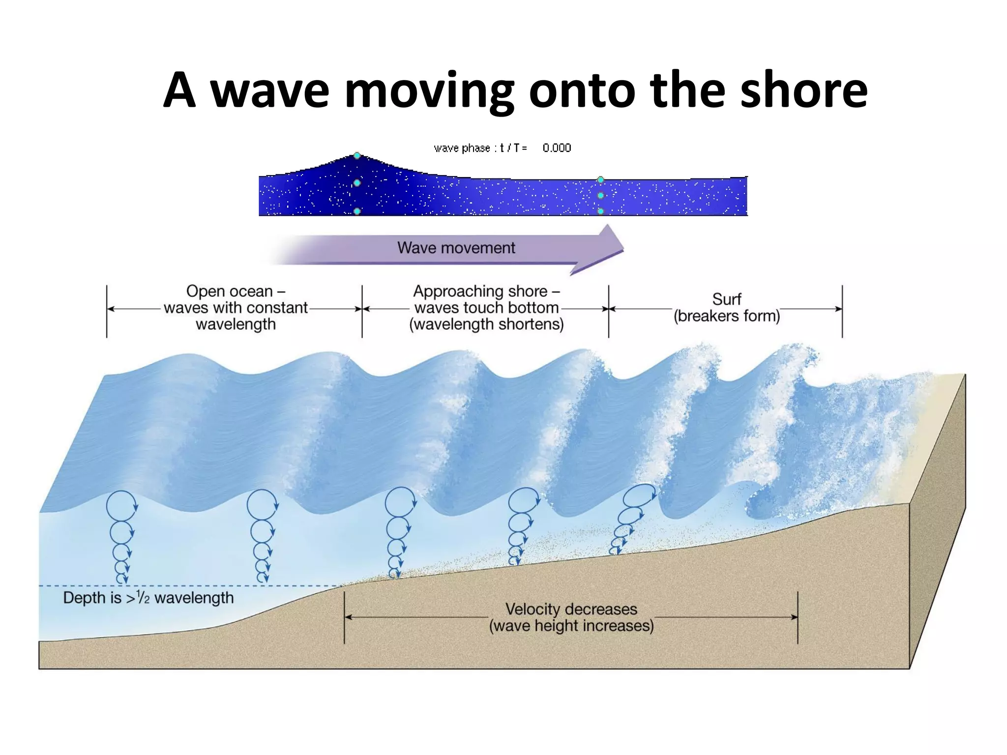 A wave moving onto the shore
 