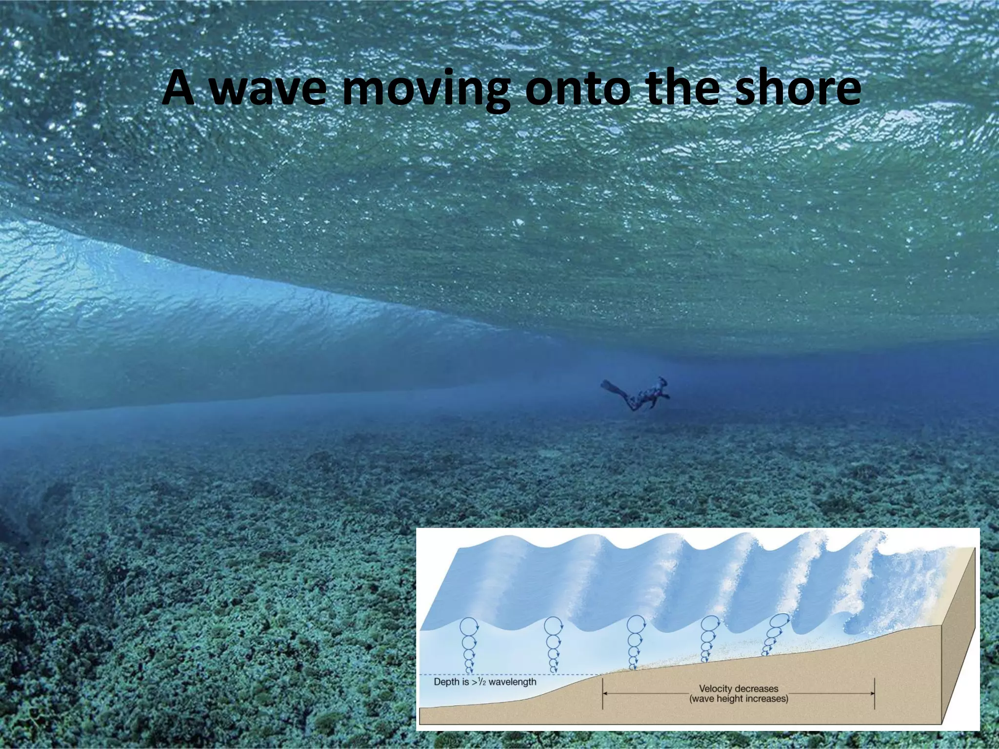 A wave moving onto the shore
 