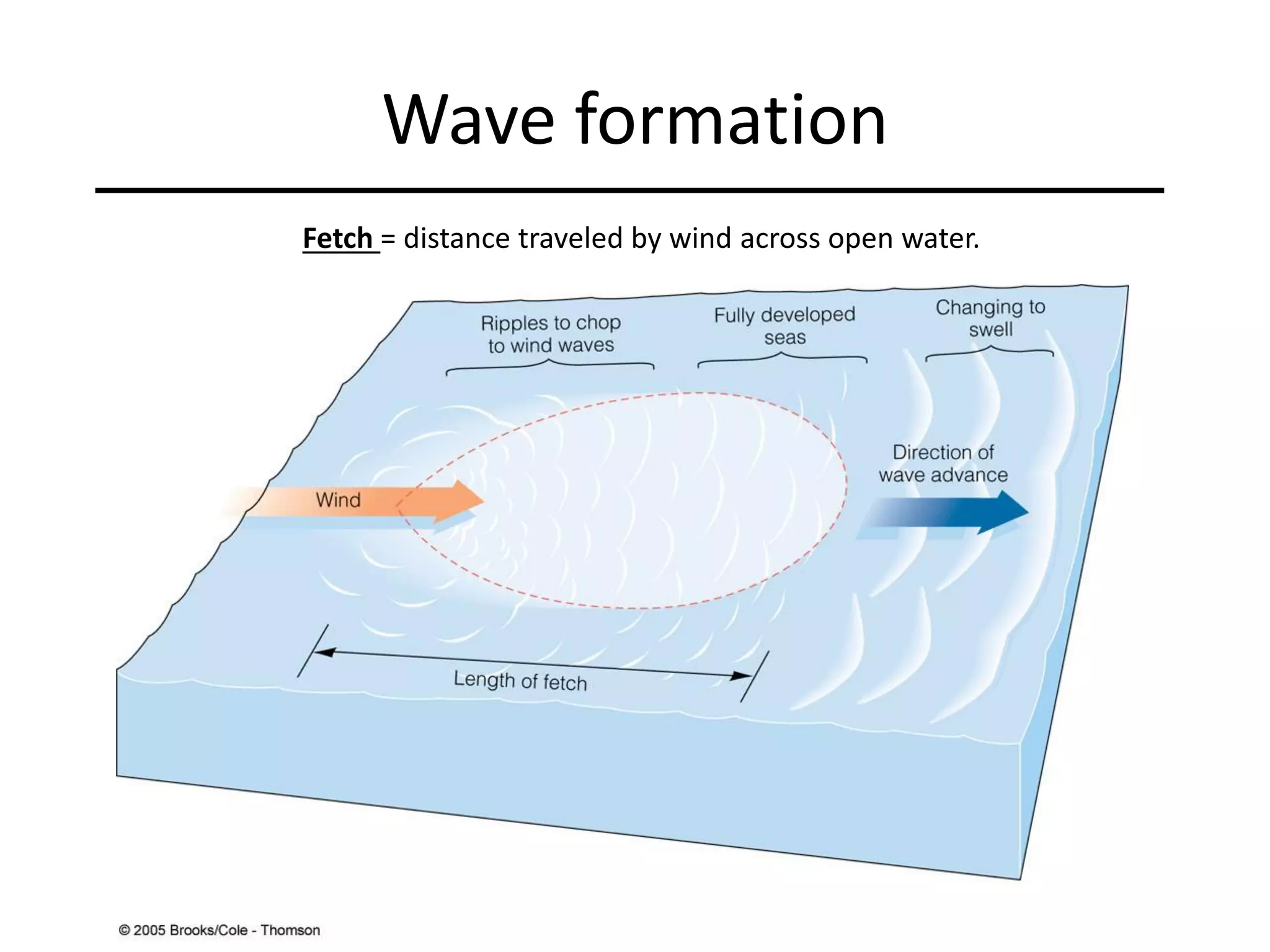 Wave formation
Fetch = distance traveled by wind across open water.
 