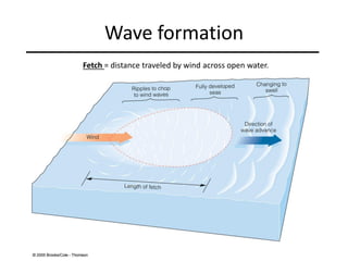 Wave formation
Fetch = distance traveled by wind across open water.
 