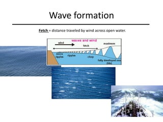 Wave formation
Fetch = distance traveled by wind across open water.
 