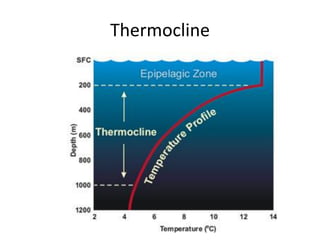Thermocline
 