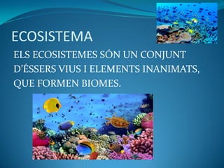 ECOSISTEMA
ELS ECOSISTEMES SÓN UN CONJUNT
D’ÉSSERS VIUS I ELEMENTS INANIMATS,
QUE FORMEN BIOMES.
 