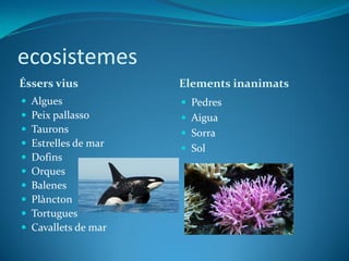 ecosistemes
Éssers vius Elements inanimats
 Algues
 Peix pallasso
 Taurons
 Estrelles de mar
 Dofins
 Orques
 Balenes
 Plàncton
 Tortugues
 Cavallets de mar
 Pedres
 Aigua
 Sorra
 Sol
 