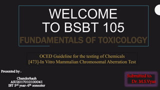 WELCOME
TO BSBT 105
OCED Guideline for the testing of Chemicals
[473]-In Vitro Mammalian Chromosomal Aberration Test
Submitted to:
Dr. M.S.Vyas
FUNDAMENTALS OF TOXICOLOGY
 