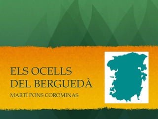 ELS OCELLS
DEL BERGUEDÀ
MARTÍ PONS COROMINAS
 