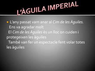  L’any passat vam anar al Cim de les Àguiles.
Ens va agradar molt
El Cim de les Àguiles és un lloc on cuiden i
protegeixen les àguiles
També van fer un espectacle fent volar totes
les àguiles
 