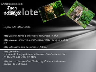 Lugares de información:


http://www.zoobaq.org/especieani/ocelote.php
http://www.lareserva.com/home/ocelote_peligro_extinc
ion
http://fotosmundo.net/ocelote-felino/
http://elclima-
enelmundo.blogspot.com.ar/2011/12/medio -ambiente-
el-ocelote-una-especie.html
http://es.scribd.com/doc/62627193/Por -que-estan-en-
peligro-de-extincion
 