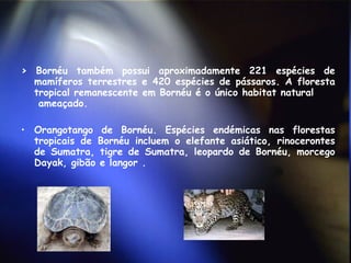 >  Bornéu também possui aproximadamente 221 espécies de mamíferos terrestres e 420 espécies de pássaros. A floresta tropical remanescente em Bornéu é o único habitat natural  ameaçado. Orangotango de Bornéu. Espécies endémicas nas florestas tropicais de Bornéu incluem o elefante asiático, rinocerontes de Sumatra, tigre de Sumatra, leopardo de Bornéu, morcego Dayak, gibão e langor .  