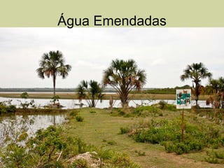 Água Emendadas 
