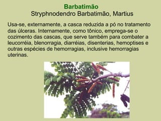 Barbatimão   Stryphnodendro Barbatimão, Martius Usa-se, externamente, a casca reduzida a pó no tratamento das úlceras. Internamente, como tônico, emprega-se o cozimento das cascas, que serve também para combater a leucorréia, blenorragia, diarréias, disenterias, hemoptises e outras espécies de hemorragias, inclusive hemorragias uterinas. 