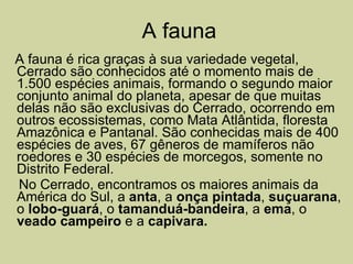 A fauna A fauna é rica graças à sua variedade vegetal, Cerrado são conhecidos até o momento mais de 1.500 espécies animais, formando o segundo maior conjunto animal do planeta, apesar de que muitas delas não são exclusivas do Cerrado, ocorrendo em outros ecossistemas, como Mata Atlântida, floresta Amazônica e Pantanal. São   conhecidas mais de 400 espécies de aves, 67 gêneros de mamíferos não roedores e 30 espécies de morcegos, somente no Distrito Federal.  No Cerrado, encontramos os maiores animais da América do Sul, a  anta , a  onça pintada ,  suçuarana , o  lobo-guará , o  tamanduá-bandeira , a  ema , o  veado campeiro  e a  capivara. 