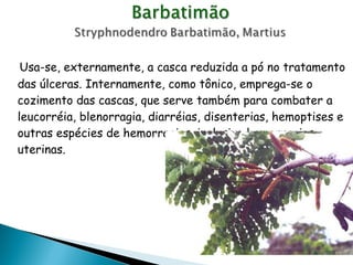 Usa-se, externamente, a casca reduzida a pó no tratamento das úlceras. Internamente, como tônico, emprega-se o cozimento das cascas, que serve também para combater a leucorréia, blenorragia, diarréias, disenterias, hemoptises e outras espécies de hemorragias, inclusive hemorragias uterinas. 