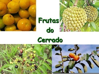 Frutas do Cerrado 
