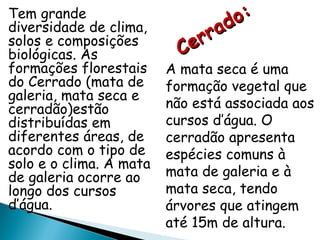 Tem grande diversidade de clima, solos e composições biológicas. As formações florestais do Cerrado (mata de galeria, mata seca e cerradão)estão distribuídas em diferentes áreas, de acordo com o tipo de solo e o clima. A mata de galeria ocorre ao longo dos cursos d’água. A mata seca é uma formação vegetal que não está associada aos cursos d’água. O cerradão apresenta espécies comuns à mata de galeria e à mata seca, tendo árvores que atingem até 15m de altura. Cerrado: 