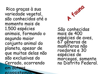 Rica graças à sua variedade vegetal, são conhecidos até o momento mais de 1.500 espécies animais, formando o segundo maior conjunto animal do planeta, apesar de que muitas delas não são exclusivas do Cerrado, ocorrendo em outros ecossistemas. São   conhecidas mais de 400 espécies de aves, 67 gêneros de mamíferos não roedores e 30 espécies de morcegos, somente no Distrito Federal. 