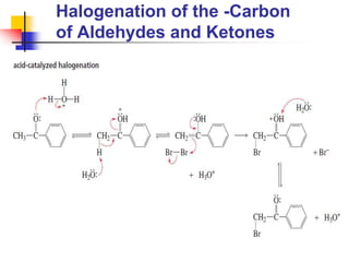 Halogenation of the -Carbon
of Aldehydes and Ketones
 