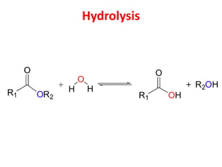 Hydrolysis
 