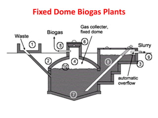 Fixed Dome Biogas Plants
 
