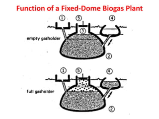 Function of a Fixed-Dome Biogas Plant
 