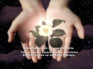 Este chakra tem um papel à parte.  Tem a mesma característica do cristal branco: aciona ou desativa energia.   