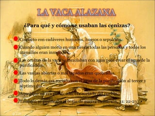 Contacto con cadáveres humanos, huesos o sepulcros. Cuando alguien moría en una tienda todas las personas y todos los utensilios eran inmundos. Las cenizas de la vaca se mezclaban con agua para crear el agua de la purificación. Las vasijas abiertas o mal tapadas eran quebradas. Todo lo demás era rociado con el agua de la purificación al tercer y séptimo día. Aquel que no era purificado, era cortado del pueblo. También se purificaba el botín de guerra (Números, 31: 22-23) ¿Para qué y cómo se usaban las cenizas? 1 2 3 4 5 6 7 