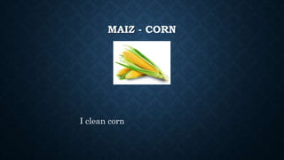 MAIZ - CORN
I clean corn
 