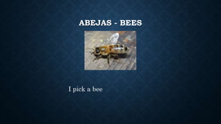 ABEJAS - BEES
I pick a bee
 