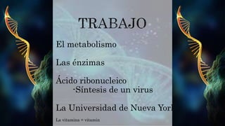 El metabolismo
Las énzimas
Ácido ribonucleico
-Síntesis de un virus
La Universidad de Nueva York
La vitamina = vitamin
 