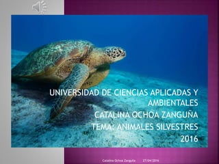 UNIVERSIDAD DE CIENCIAS APLICADAS Y
AMBIENTALES
CATALINA OCHOA ZANGUÑA
TEMA: ANIMALES SILVESTRES
2016
27/04/2016Catalina Ochoa Zanguña
 