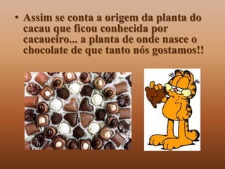• Assim se conta a origem da planta do
  cacau que ficou conhecida por
  cacaueiro... a planta de onde nasce o
  chocolate de que tanto nós gostamos!!
 