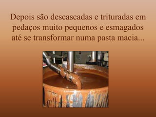 Depois são descascadas e trituradas em
pedaços muito pequenos e esmagados
até se transformar numa pasta macia...
 
