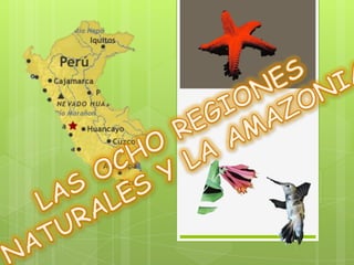 Ocho regiones del peru