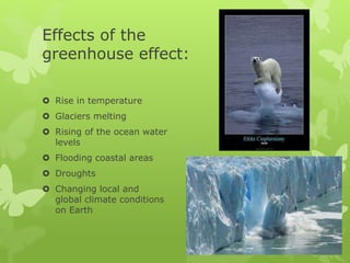 Effects of the
greenhouse effect:
 Rise in temperature
 Glaciers melting
 Rising of the ocean water
levels
 Flooding coastal areas
 Droughts
 Changing local and
global climate conditions
on Earth
 