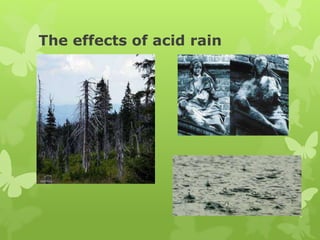The effects of acid rain
 