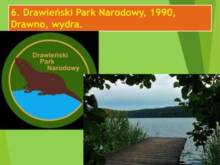 6. Drawieński Park Narodowy, 1990,
Drawno, wydra.
 