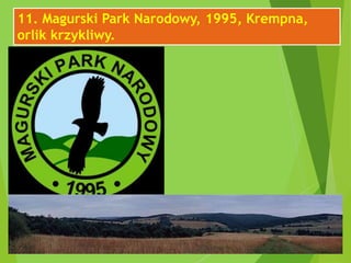 11. Magurski Park Narodowy, 1995, Krempna,
orlik krzykliwy.
 