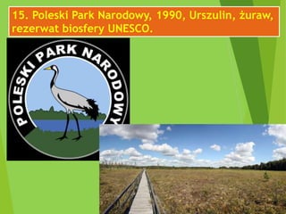 15. Poleski Park Narodowy, 1990, Urszulin, żuraw,
rezerwat biosfery UNESCO.
 