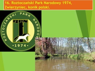 16. Roztoczański Park Narodowy 1974,
Zwierzyniec, konik polski.
 